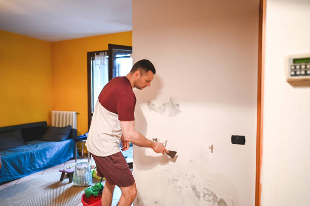 Best Fast Mold Removal  in Lynn, MA